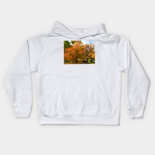 Fall colors Kids Hoodie